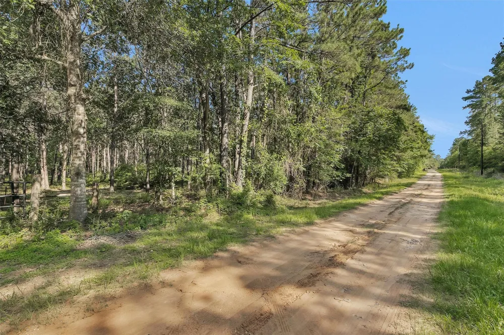 6493 Planters Row Lane Plantersville, TX 77363