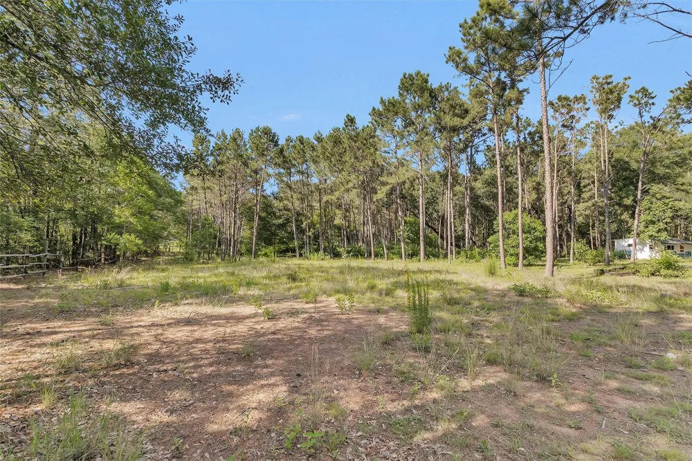 6493 Planters Row Lane Plantersville, TX 77363