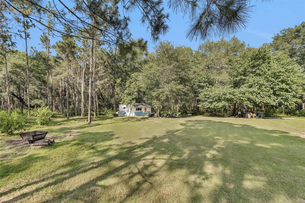 6493 Planters Row Lane Plantersville, TX 77363