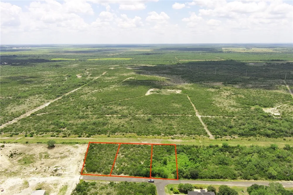Deer Run Trace Three Rivers, TX 78071