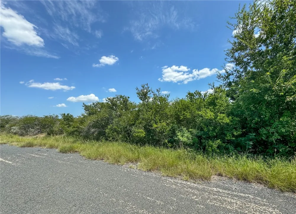 Deer Run Trace Three Rivers, TX 78071