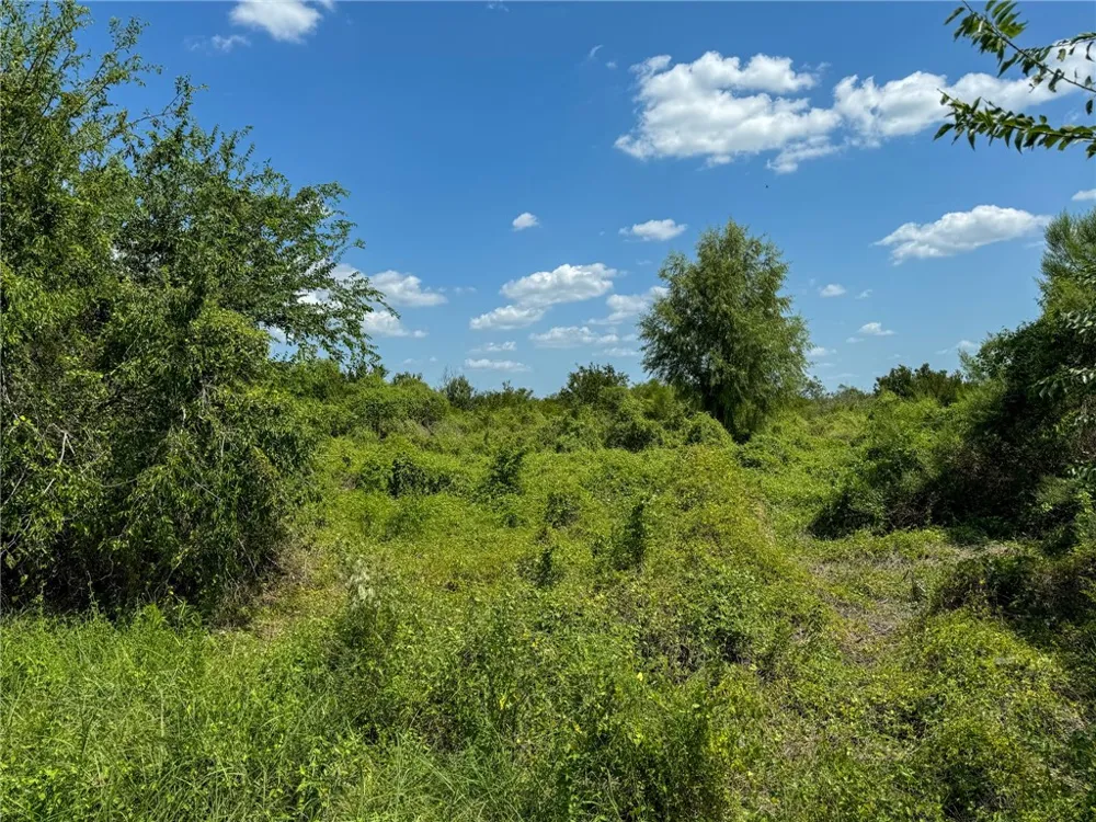 Deer Run Trace Three Rivers, TX 78071