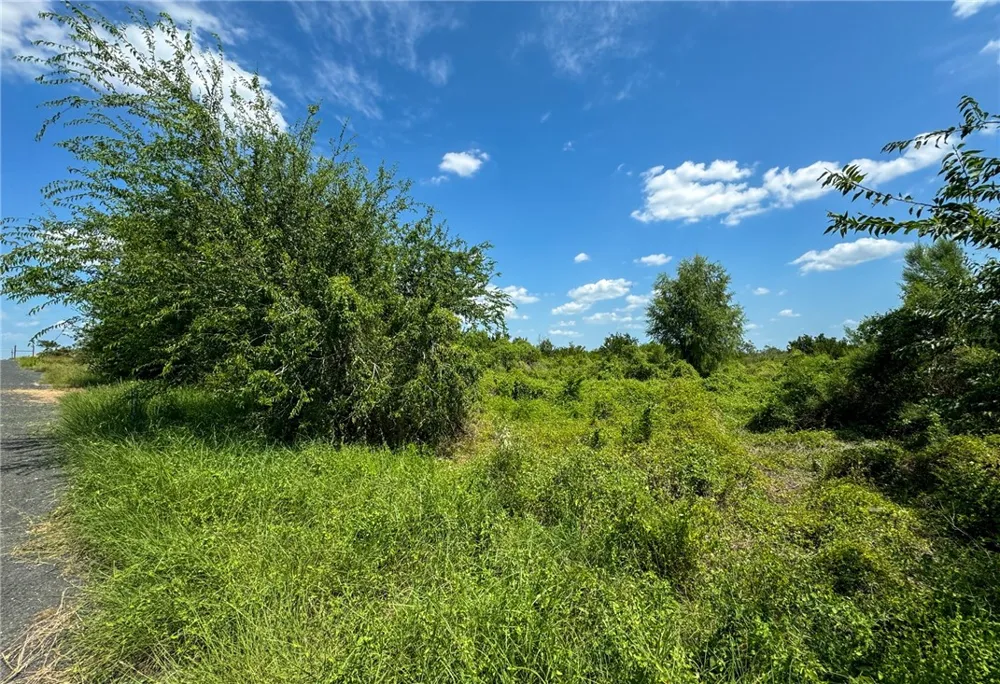 Deer Run Trace Three Rivers, TX 78071