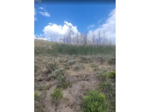 Address Not Shown