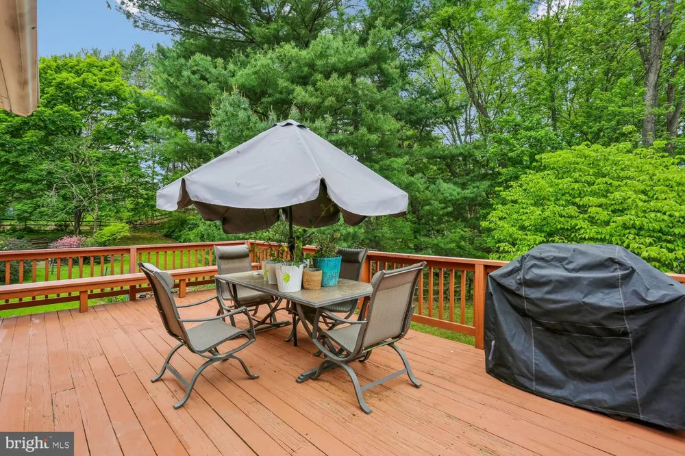 11301 STRYVER COURT North Potomac, MD 20878