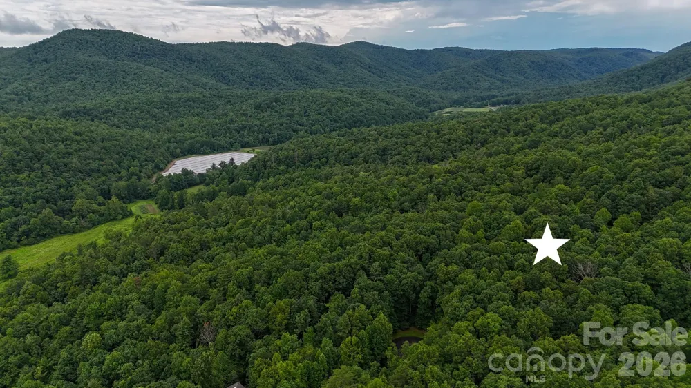 364 Big Bear Trail #24 Zirconia, NC 28790