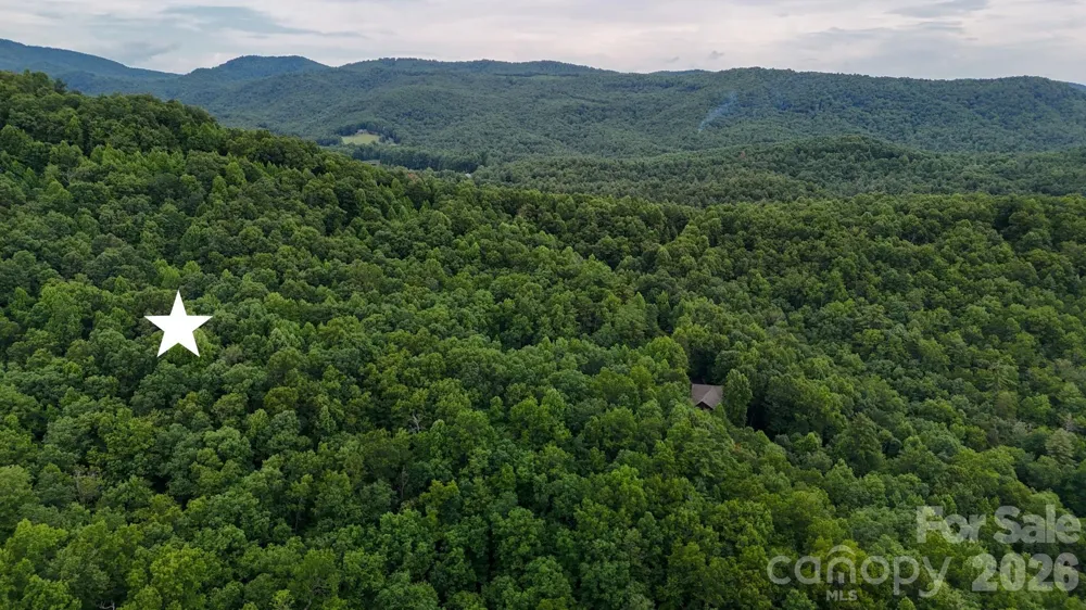 364 Big Bear Trail #24 Zirconia, NC 28790