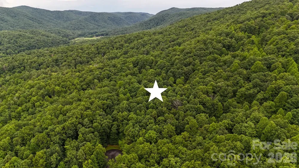 364 Big Bear Trail #24 Zirconia, NC 28790