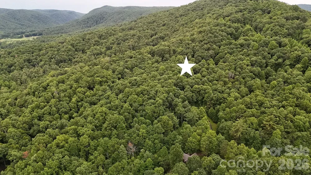 364 Big Bear Trail #24 Zirconia, NC 28790