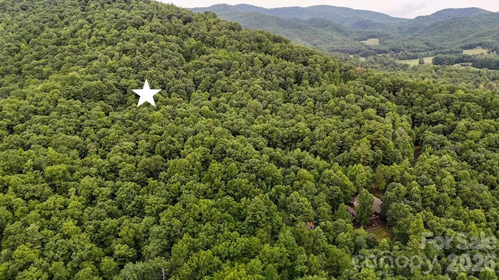 364 Big Bear Trail #24 Zirconia, NC 28790