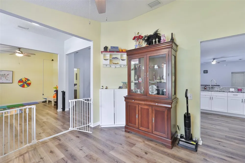 10234 BLOOMFIELD HILLS DRIVE Seffner, FL 33584