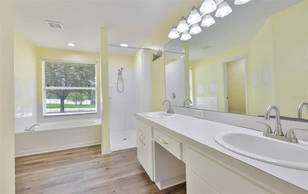 10234 BLOOMFIELD HILLS DRIVE Seffner, FL 33584