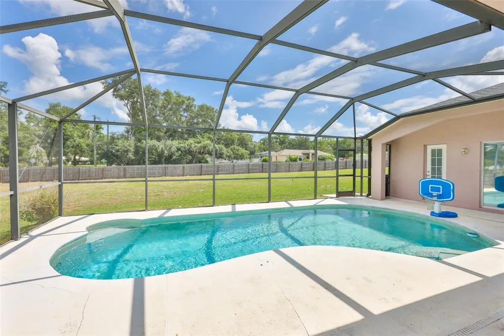 10234 BLOOMFIELD HILLS DRIVE Seffner, FL 33584