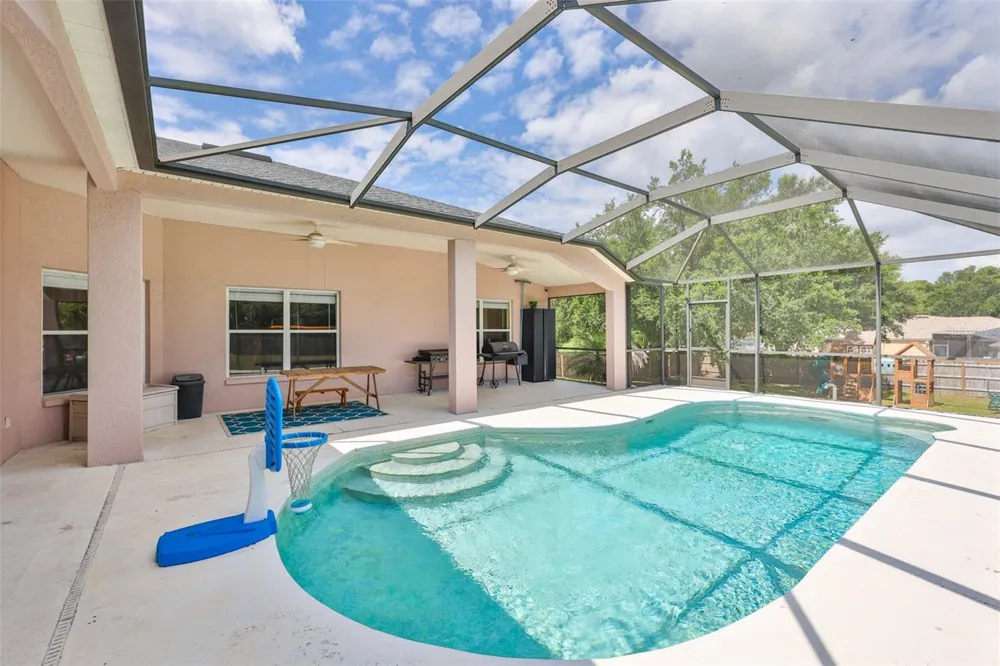 10234 BLOOMFIELD HILLS DRIVE Seffner, FL 33584