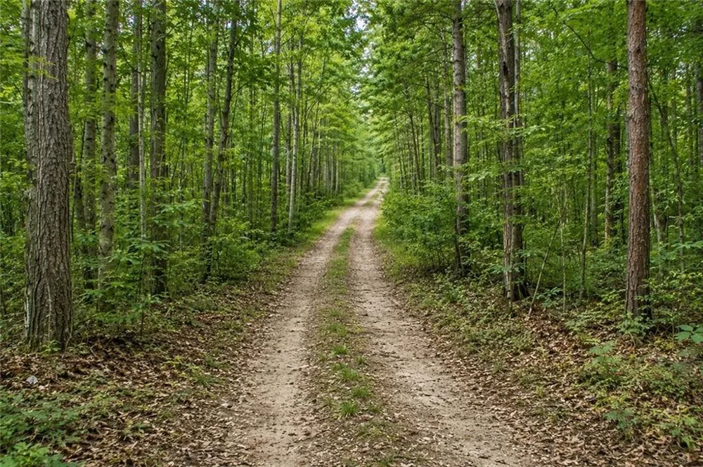 Lot 26 Waldrip Road Dawsonville, GA 30534