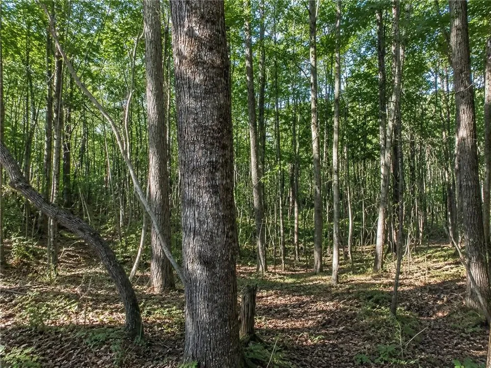 Lot 26 Waldrip Road Dawsonville, GA 30534