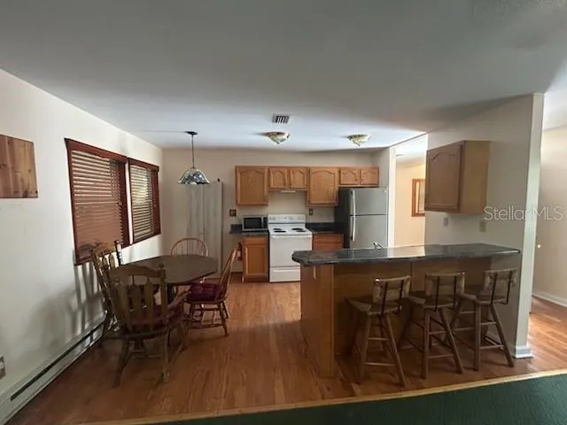 526 KINGS CREEK CIRCLE Steinhatchee, FL 32359