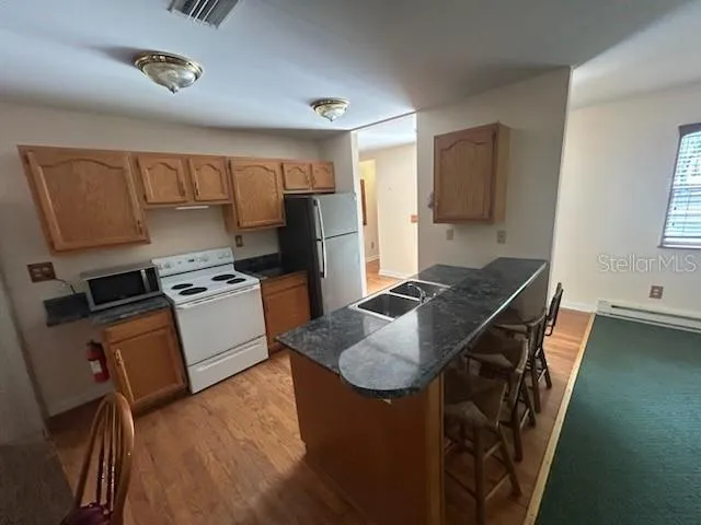 526 KINGS CREEK CIRCLE Steinhatchee, FL 32359