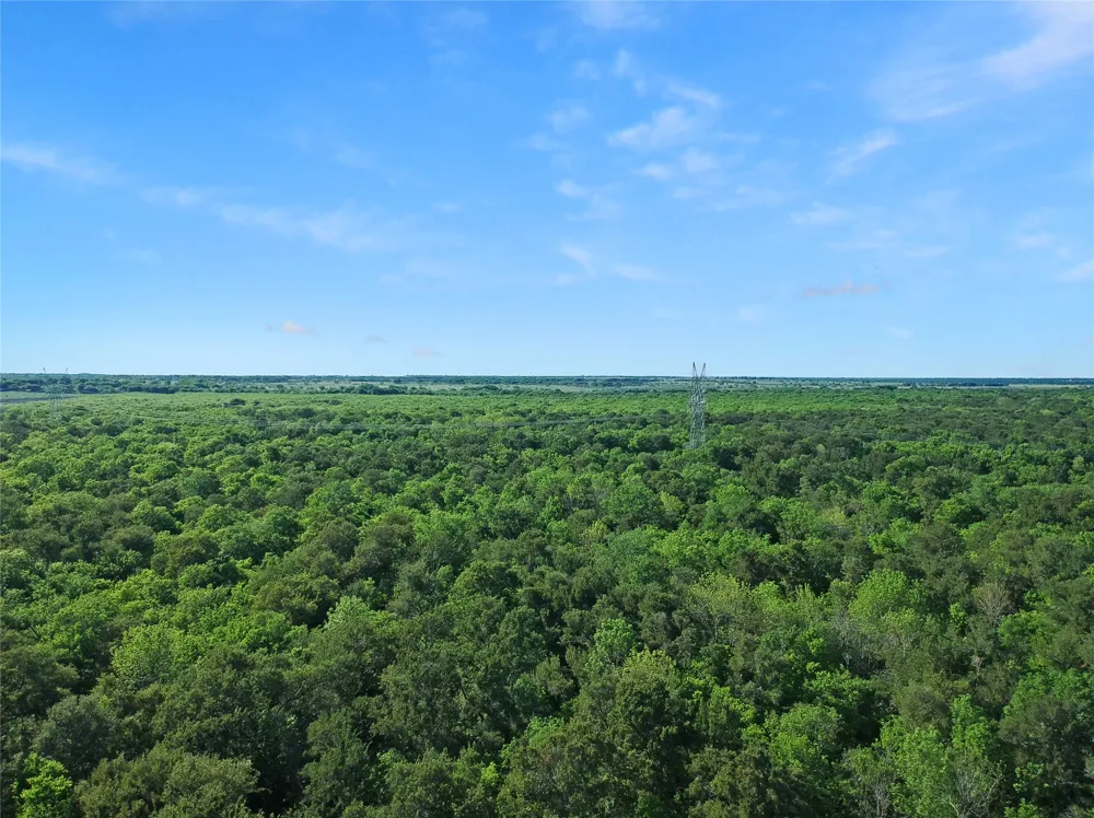 7304 Shady Lane Scurry, TX 75158