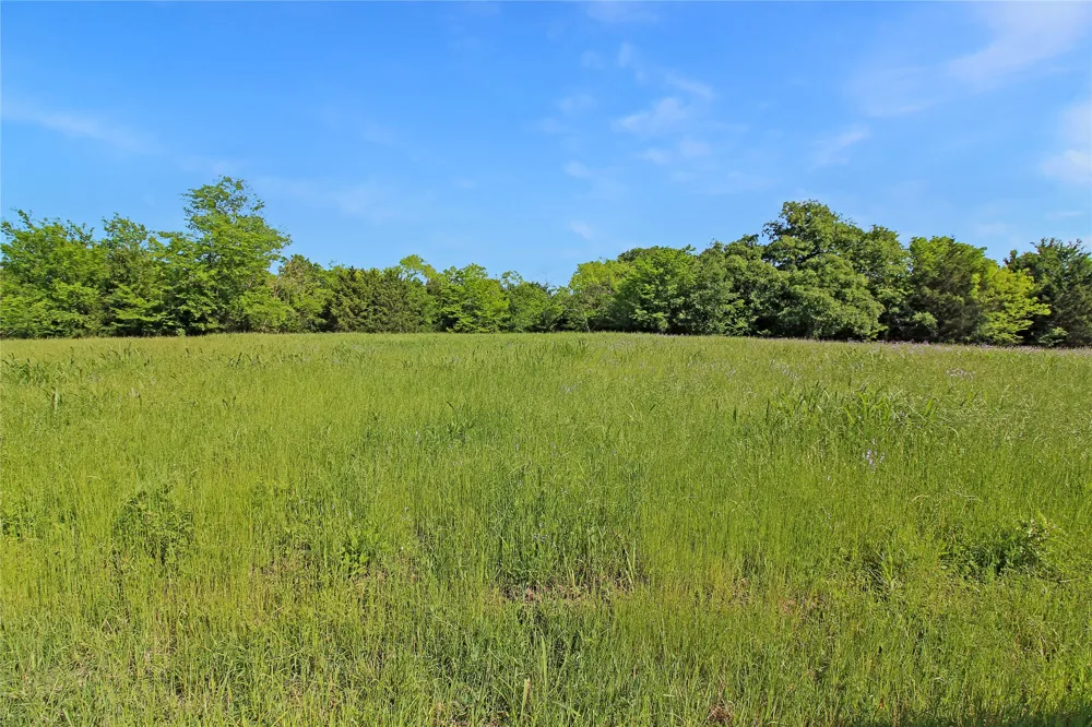 7304 Shady Lane Scurry, TX 75158