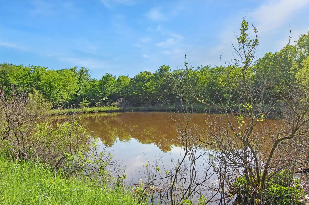 7304 Shady Lane Scurry, TX 75158