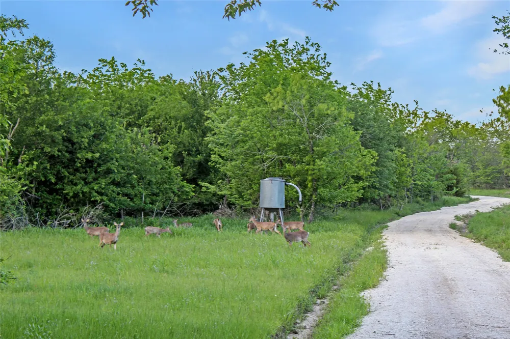 7304 Shady Lane Scurry, TX 75158