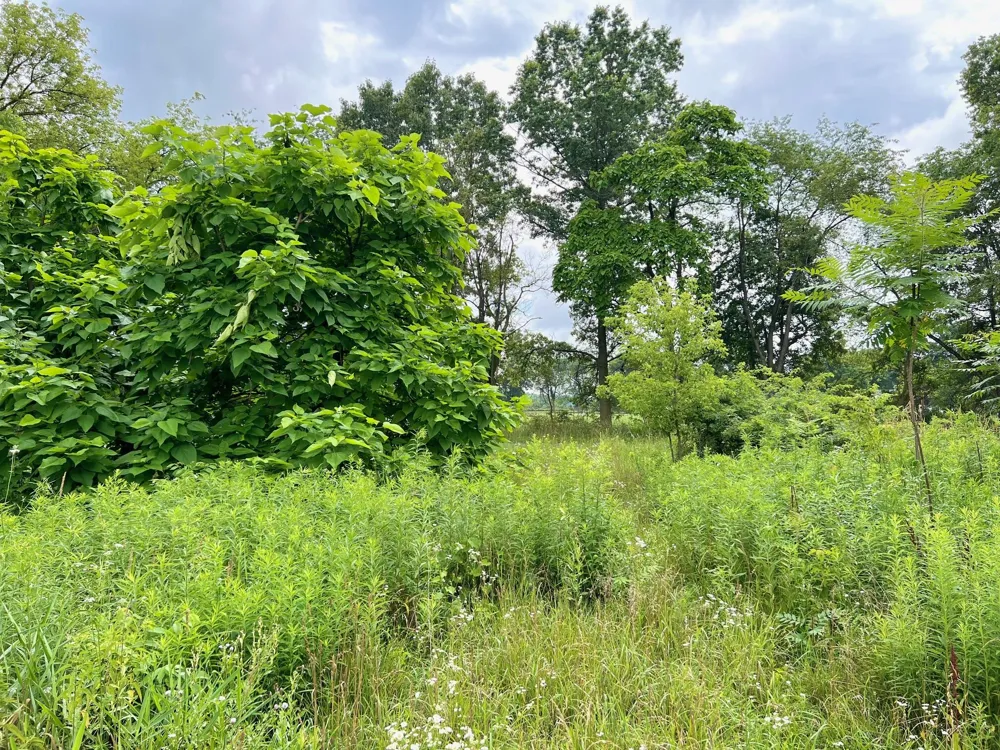 8607 E Op Avenue Kalamazoo, MI 49048
