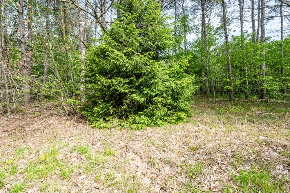 0A Linke Rd Road Bridgman, MI 49106