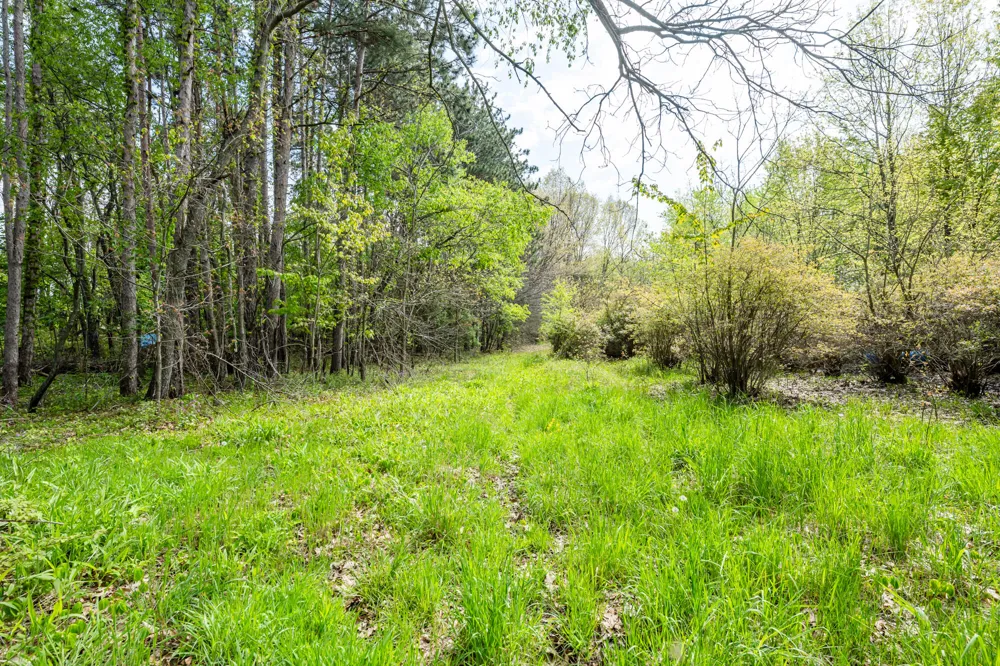 0A Linke Rd Road Bridgman, MI 49106