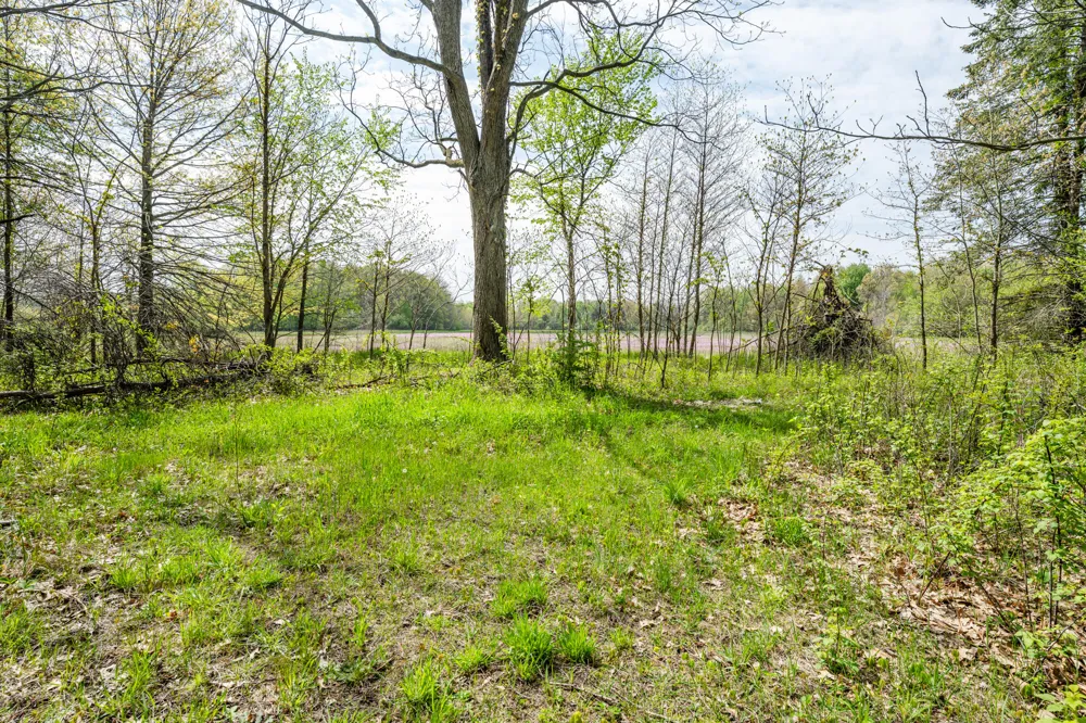 0A Linke Rd Road Bridgman, MI 49106