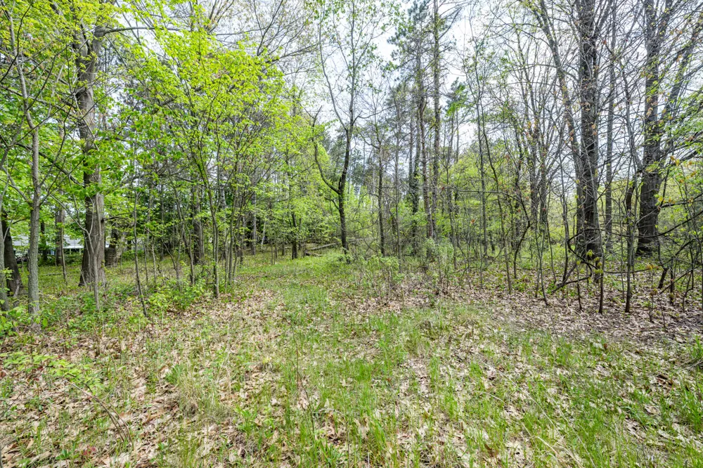 0A Linke Rd Road Bridgman, MI 49106