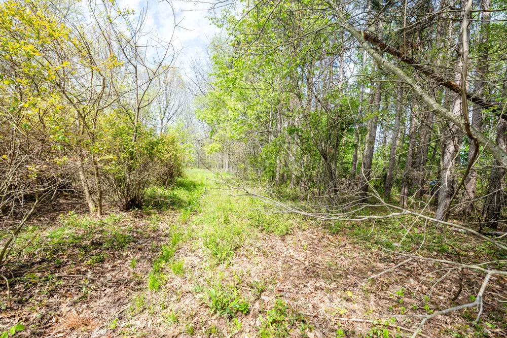 0A Linke Rd Road Bridgman, MI 49106