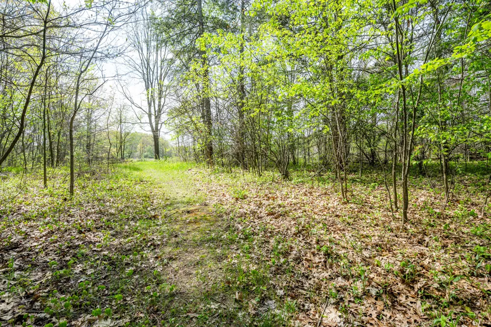 0A Linke Rd Road Bridgman, MI 49106