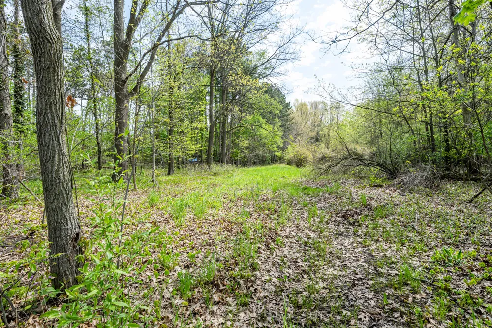 0A Linke Rd Road Bridgman, MI 49106
