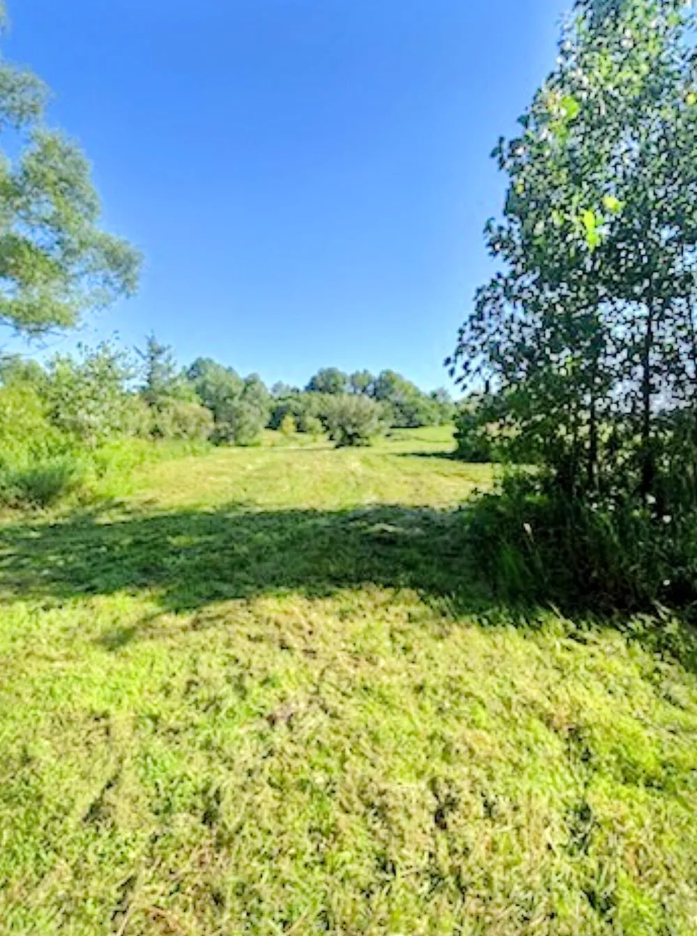 2311 E Glendora Road Buchanan, MI 49107