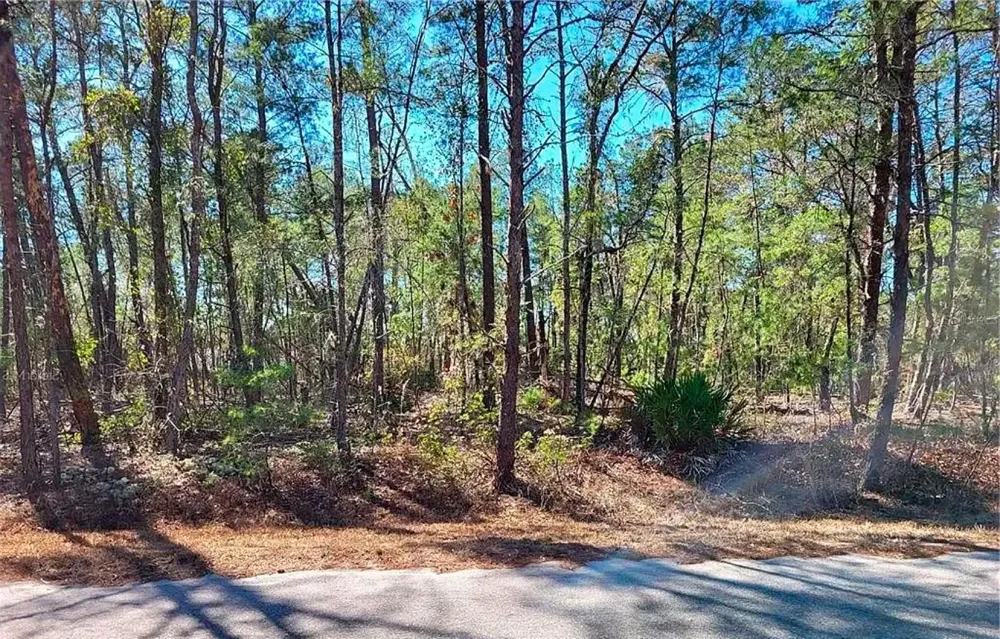 76 FISHER RUN TERRACE Ocklawaha, FL 32179