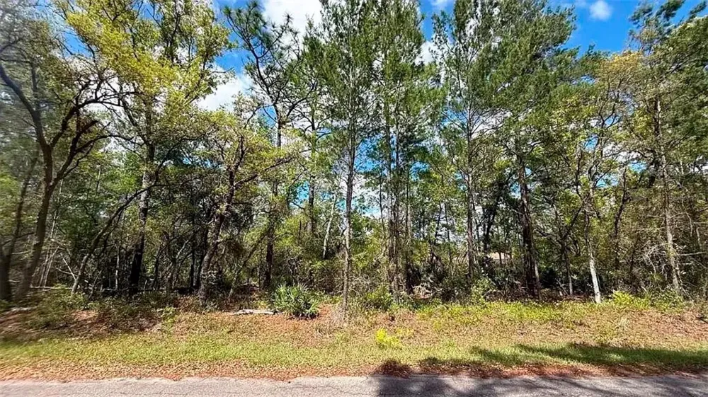 76 FISHER RUN TERRACE Ocklawaha, FL 32179