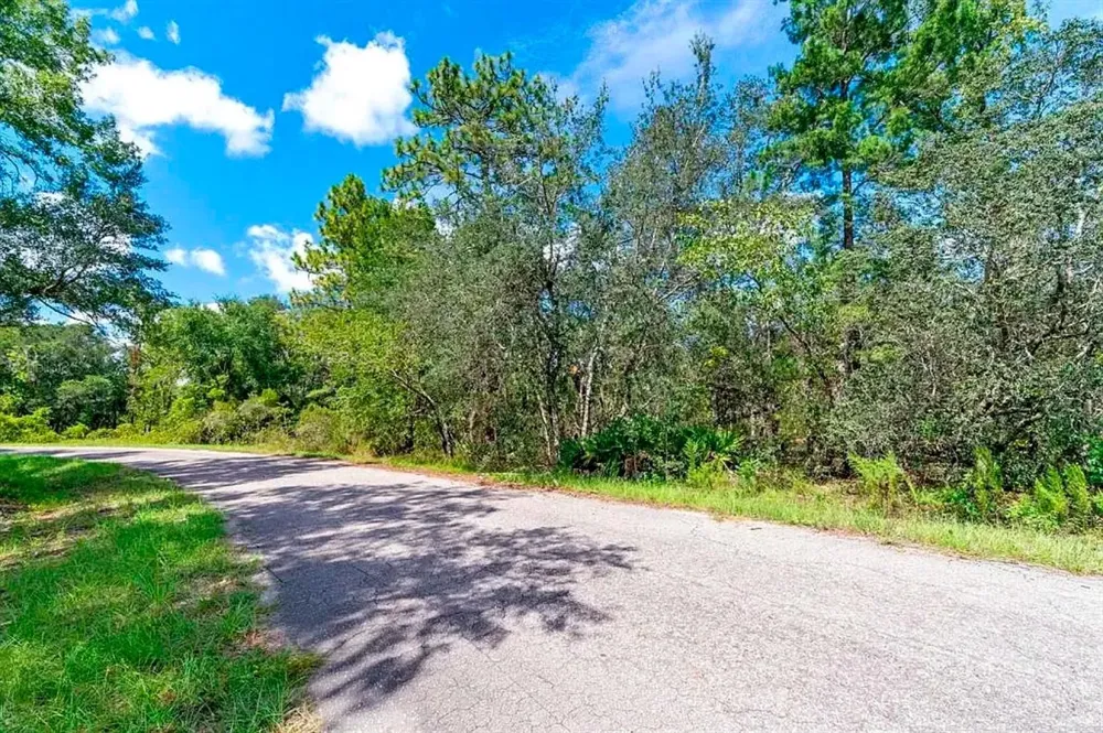 76 FISHER RUN TERRACE Ocklawaha, FL 32179