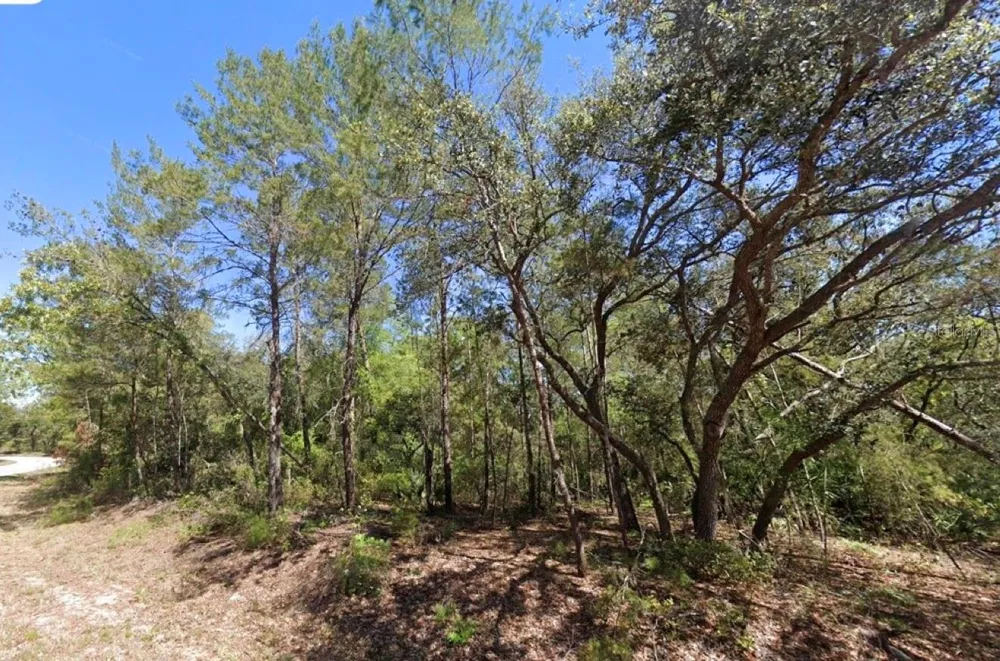 76 FISHER RUN TERRACE Ocklawaha, FL 32179
