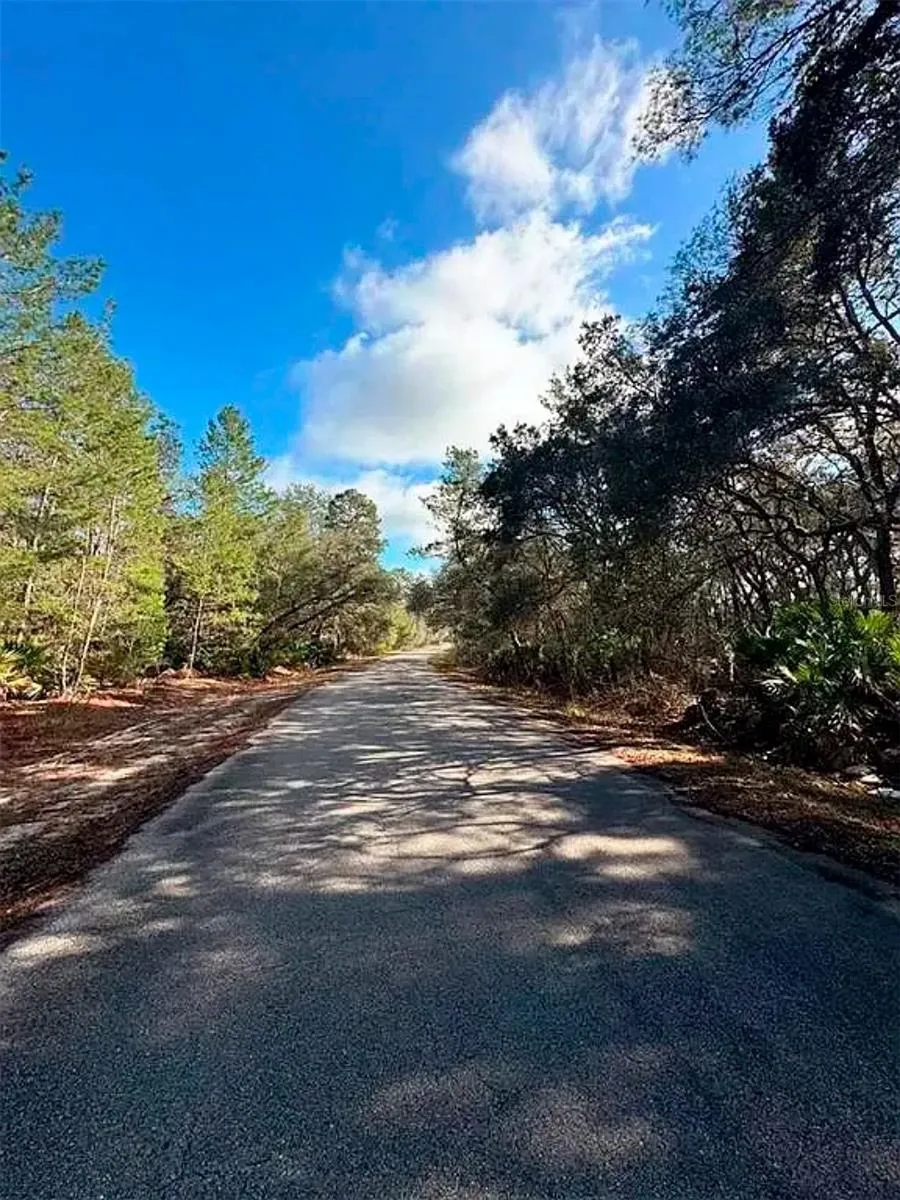 76 FISHER RUN TERRACE Ocklawaha, FL 32179