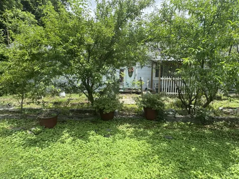 528 Browns Ferry Road