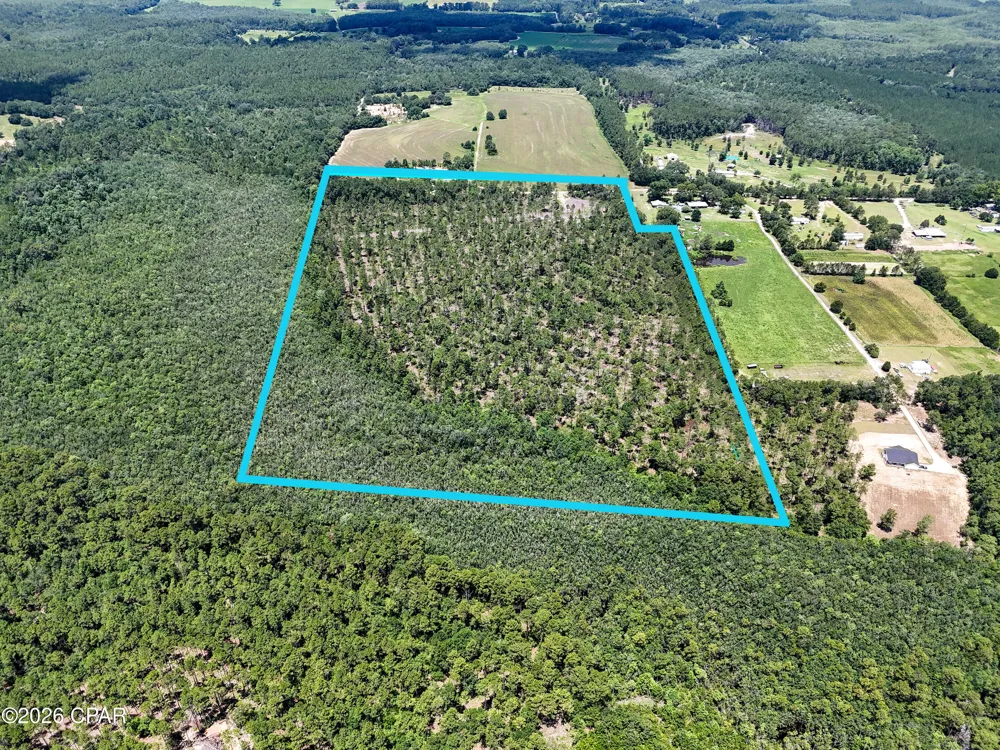 Wells Road Bonifay, FL 32425
