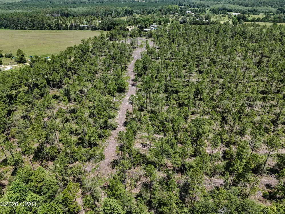 Wells Road Bonifay, FL 32425