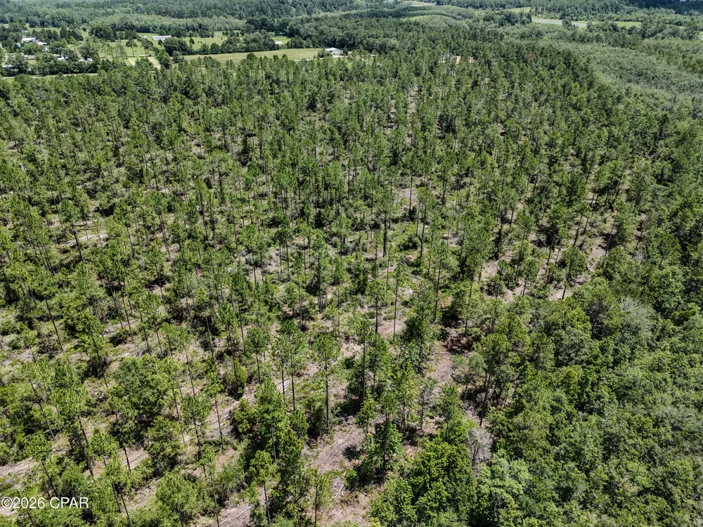 Wells Road Bonifay, FL 32425
