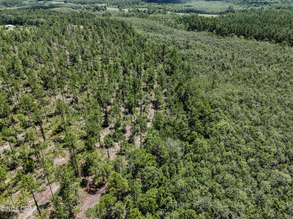 Wells Road Bonifay, FL 32425