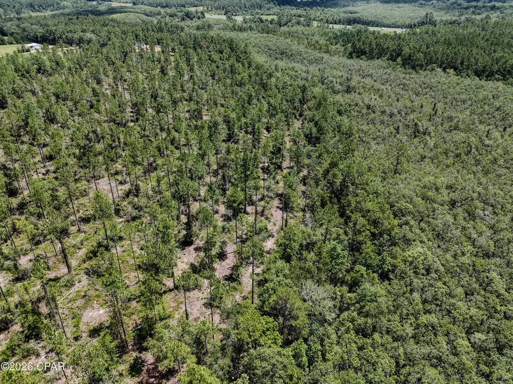 Wells Road Bonifay, FL 32425