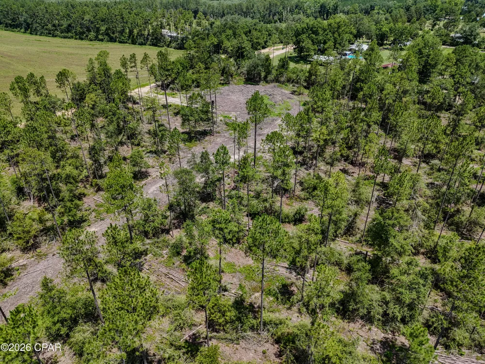 Wells Road Bonifay, FL 32425