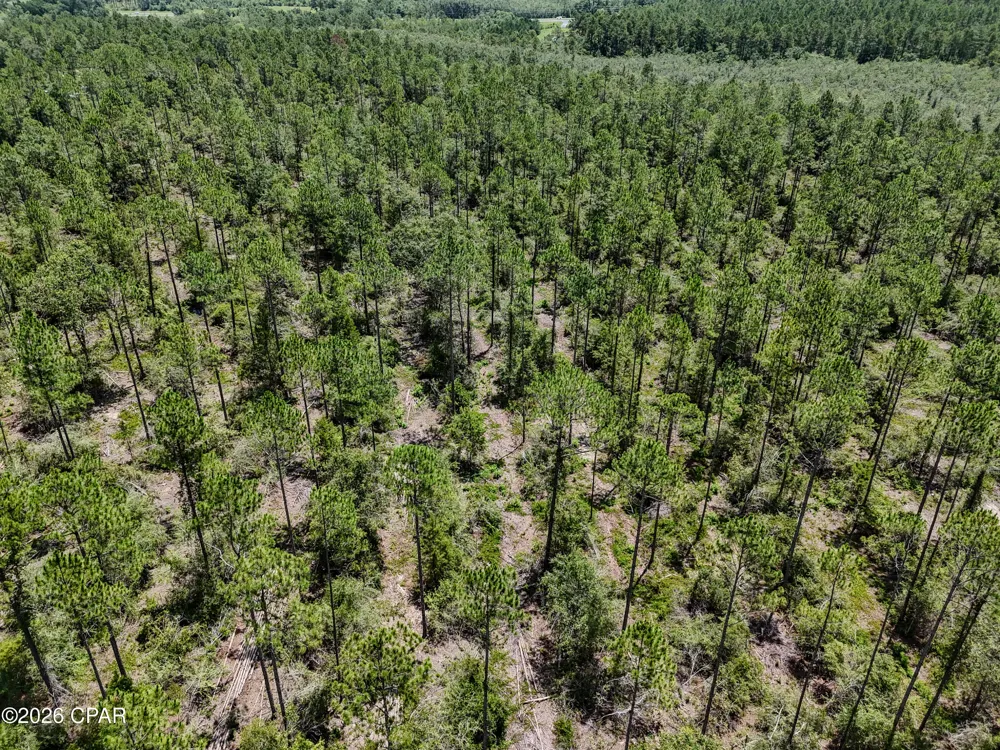 Wells Road Bonifay, FL 32425