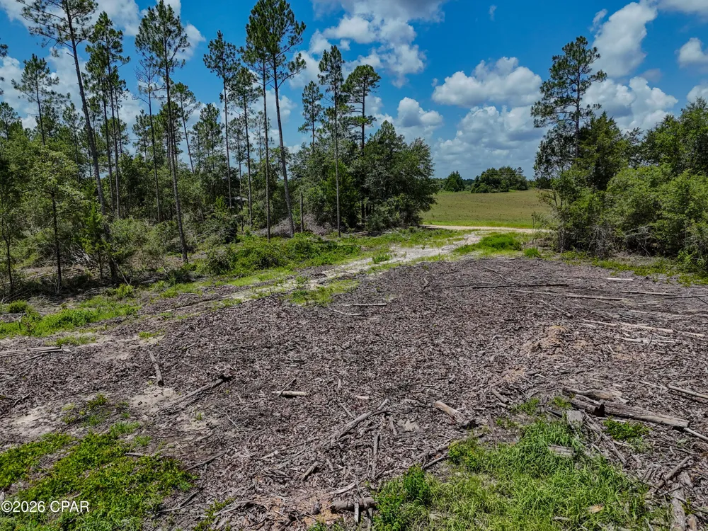 Wells Road Bonifay, FL 32425