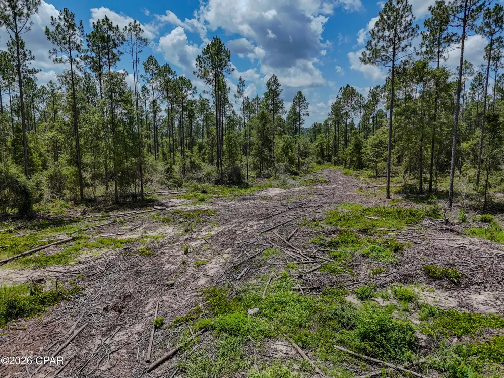 Wells Road Bonifay, FL 32425
